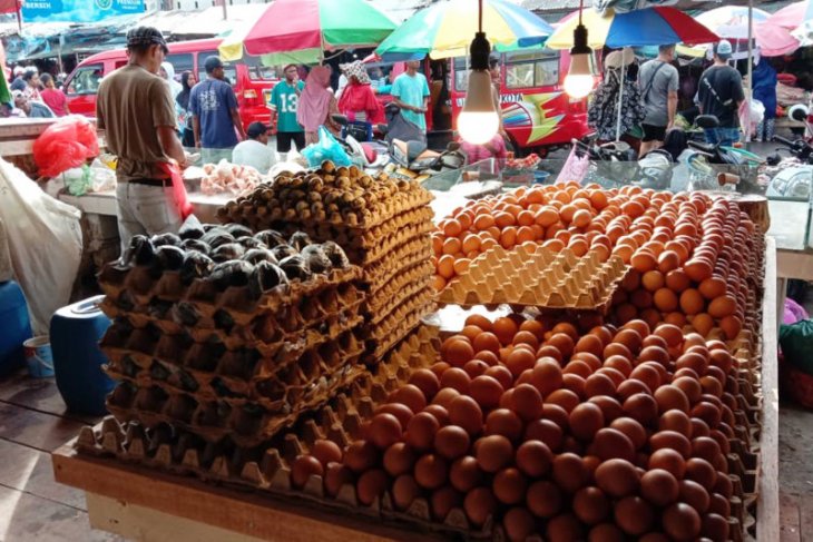 Harga telur ayam ras di pasar Ambon naik