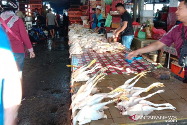 Harga daging ayam kampung di pasar Ambon naik