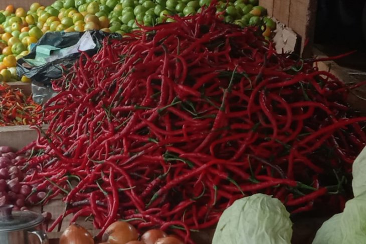 Harga cabai merah di pasar Ambon turun