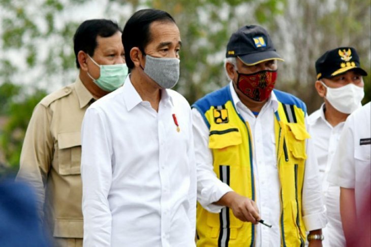 Jokowi visits Kapuas to observe site of food estate program