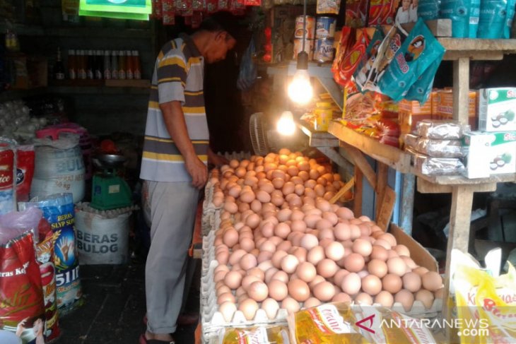 Harga telur ayam ras di pasar Ambon bervariasi