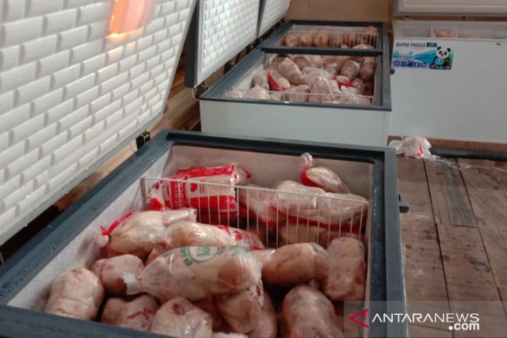 Harga daging ayam beku di pasar Ambon normal