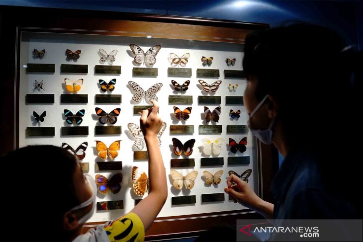 Museum Entomologi di Shanghai