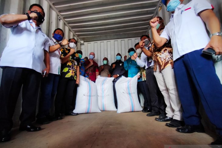 Manokwari Selatan kembali kirim 12 ton biji kakao ke Surabaya