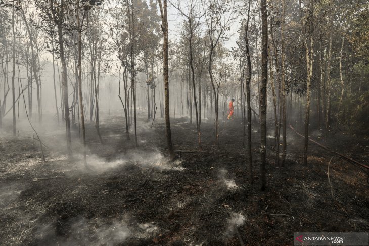 Kebakaran hutan di kawasan Bandara Hang Nadim Batam
