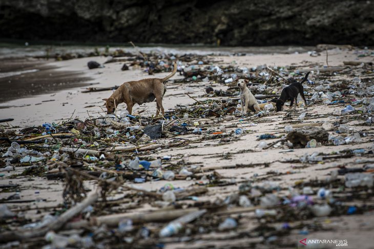 Sampah cemari Pantai Pink Lombok