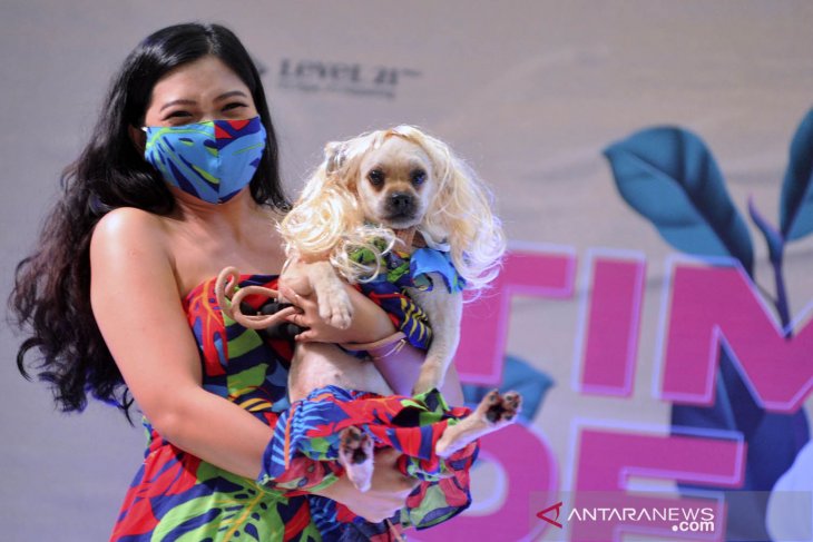 Kontes kostum anjing di Bali