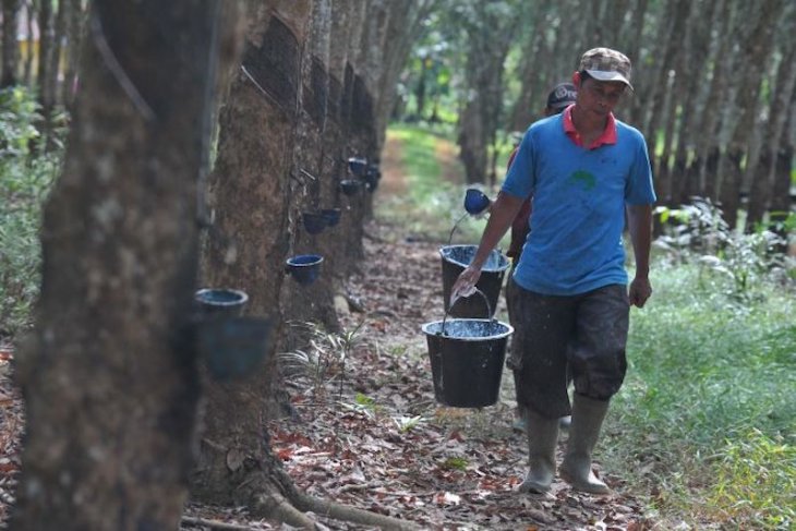 Ekspor pertanian di Sumatera Selatan yang kian menjanjikan