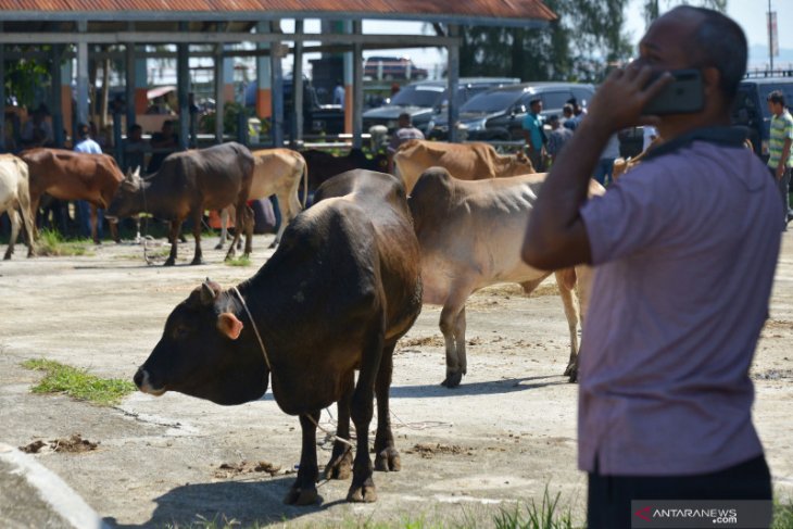 Penjualan hewan ternak jelang tradisi Meugang di Aceh