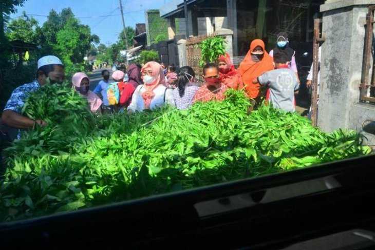 Aksi membagi sayur gratis