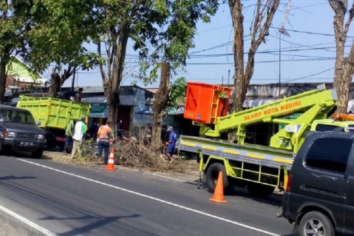 DLHKP Kediri pangkas pohon untuk keselamatan pengguna jalan raya