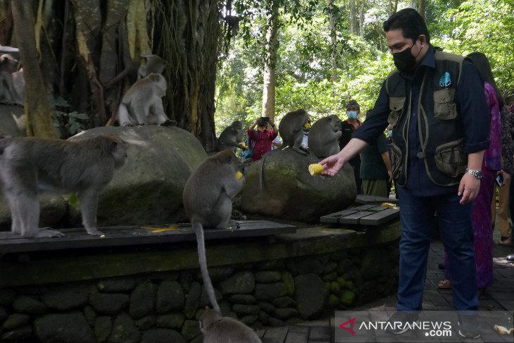 Menteri BUMN kunjungi Monkey Forest Bali