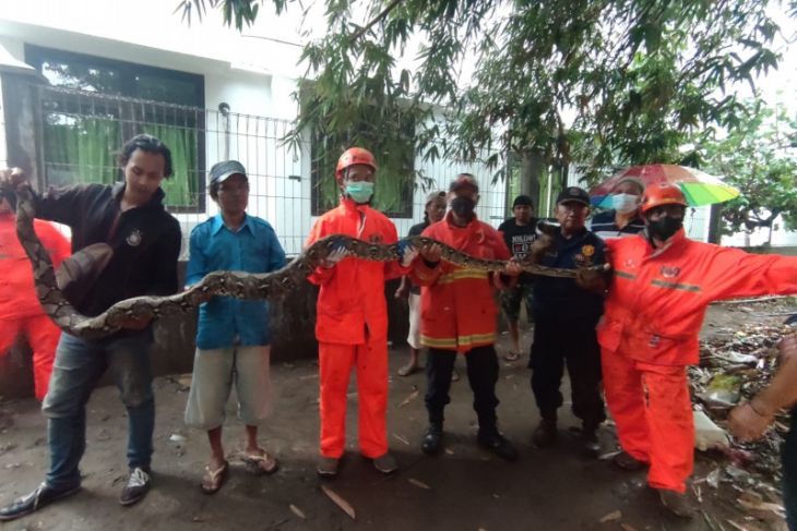 BPBD Kota Kediri imbau warga hati-hati kemuncullan ular saat pancaroba