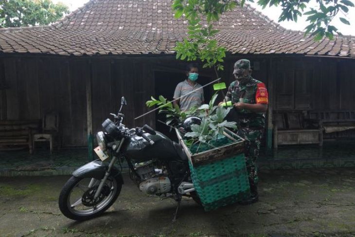 Babinsa membagikan bibit pohon