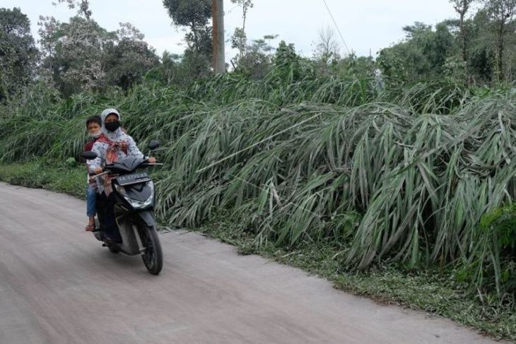 Abu vulkanik erupsi Gunung Merapi