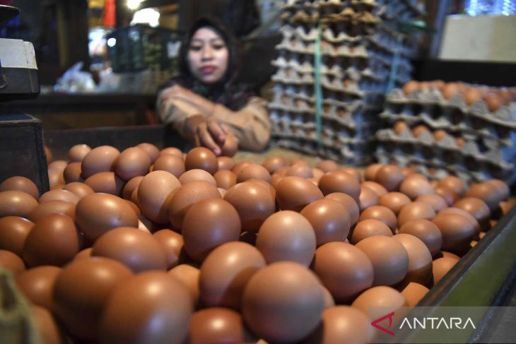Kenaikan harga telur ayam picu inflasi bulan Mei 0,40 persen
