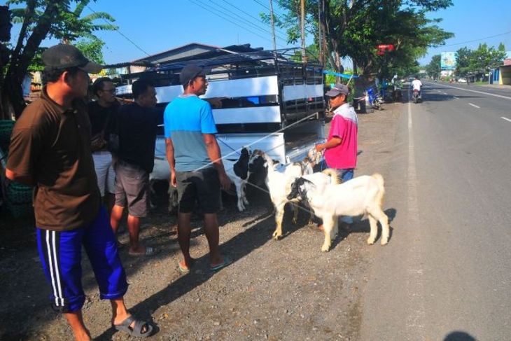 Penutupan sementara pasar hewan