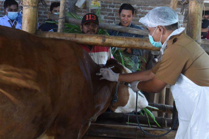Wali Kota Kediri minta warganya tak takut konsumsi daging kurban
