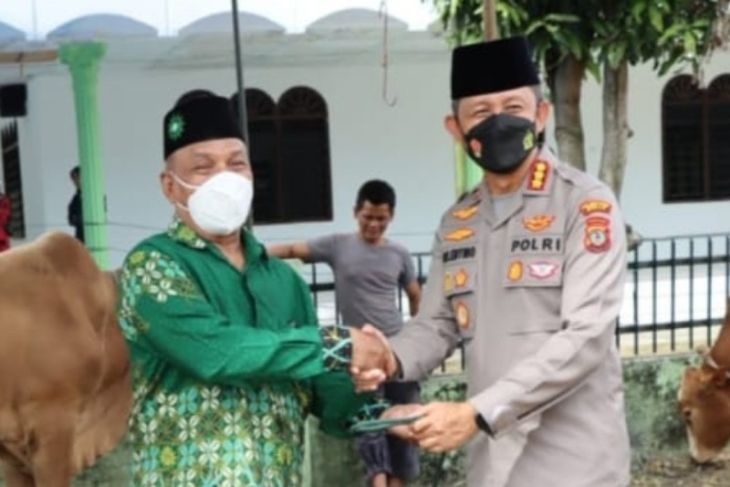 Polrestabes Medan sembelih 24 ekor sapi dan enam kambing