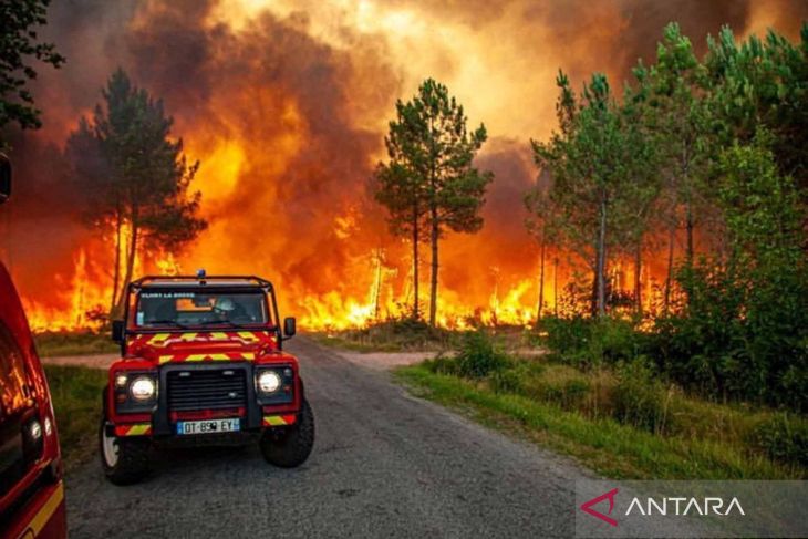 Kebakaran hutan di dekat Landiran, Prancis