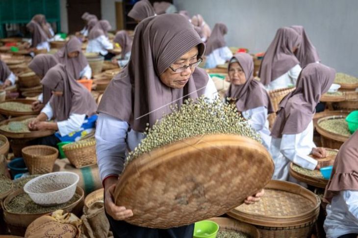 Proyeksi produksi biji kopi kering