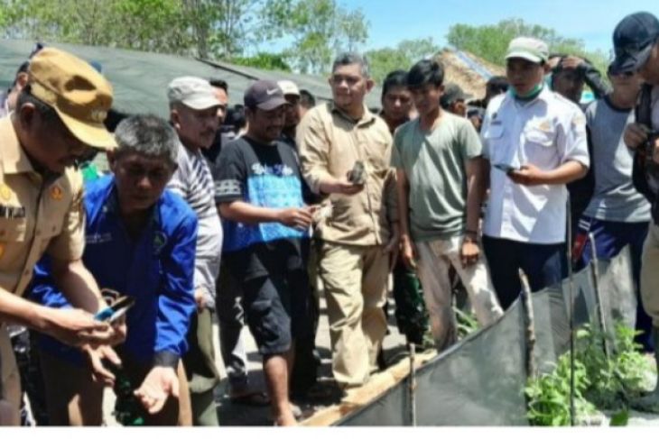 Serdang Bedagai dorong upaya rehabilitasi mangrove