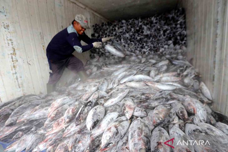 Indonesia jadi produsen tuna terbesar di dunia