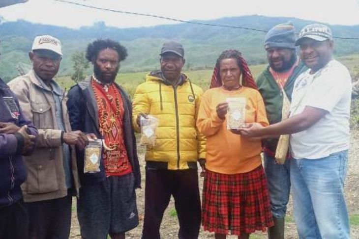 Bank Papua bantu warga Jayawijaya budi daya kacang kedelai