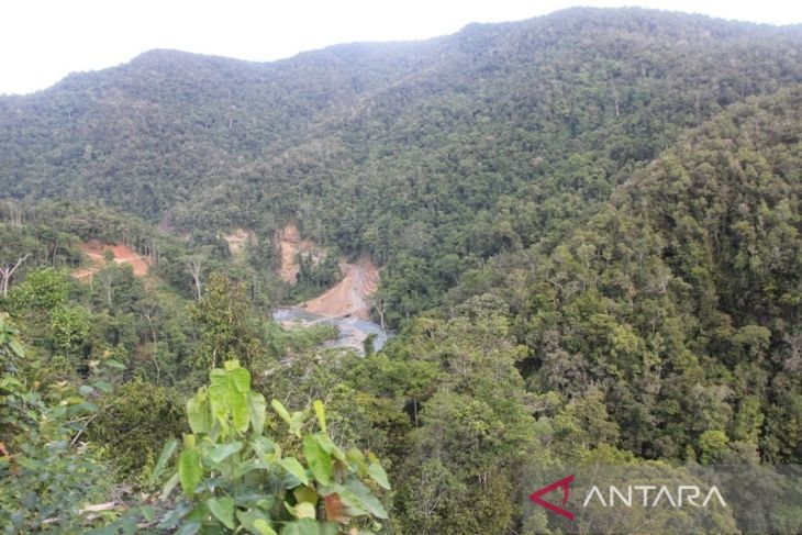 Greenpeace apresiasi masyarakat adat Teminabuan lindungi hutan