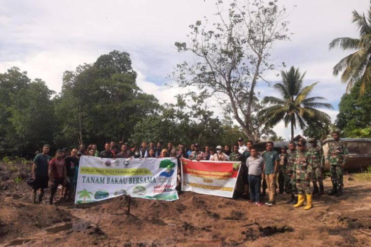 Koalisi Anak Muda Kaimana gandeng TNI-Polri tanam mangrove