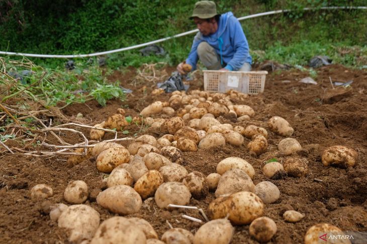 Financial sector's role crucial in improving ASEAN food security: Govt