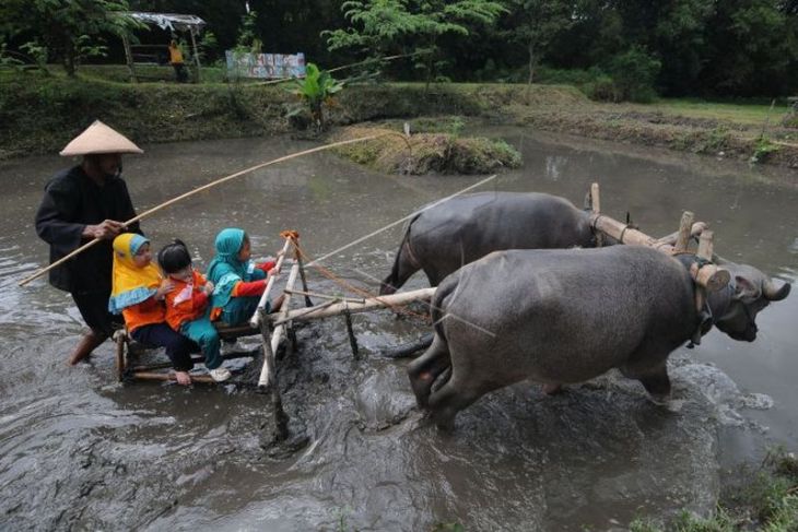 Wisata Kampung Dolanan Sidowayah