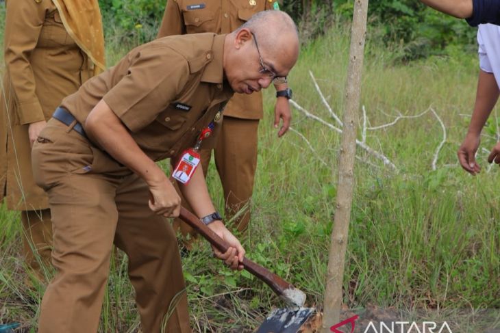 Sekda Tapin investasi oksigen dengan tanam pohon