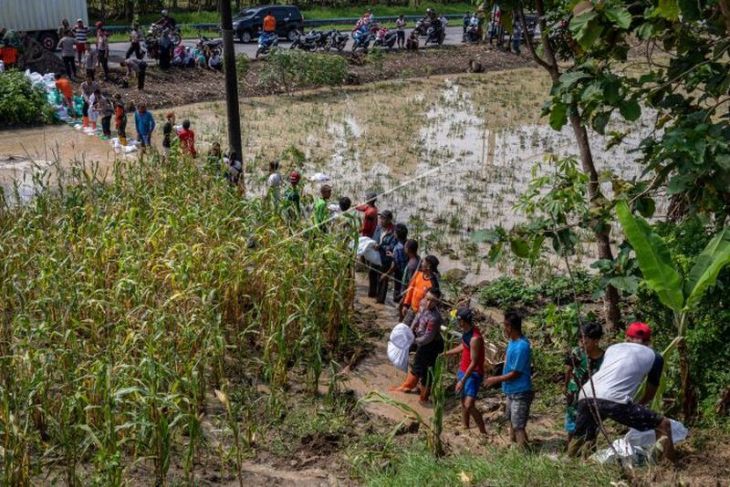 Gotong royong menambal tanggul Sungai Tuntang