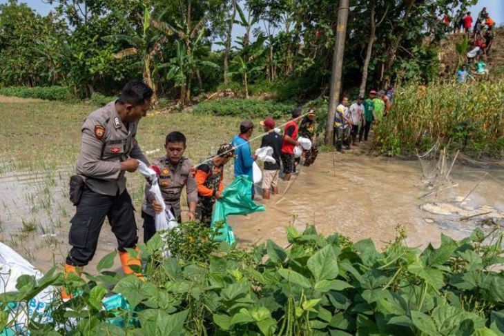 Gotong royong menambal tanggul Sungai Tuntang