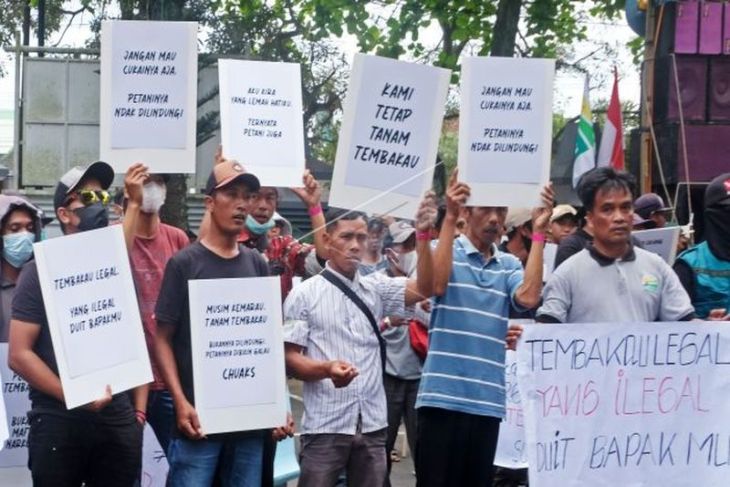 Unjuk rasa petani tembakau