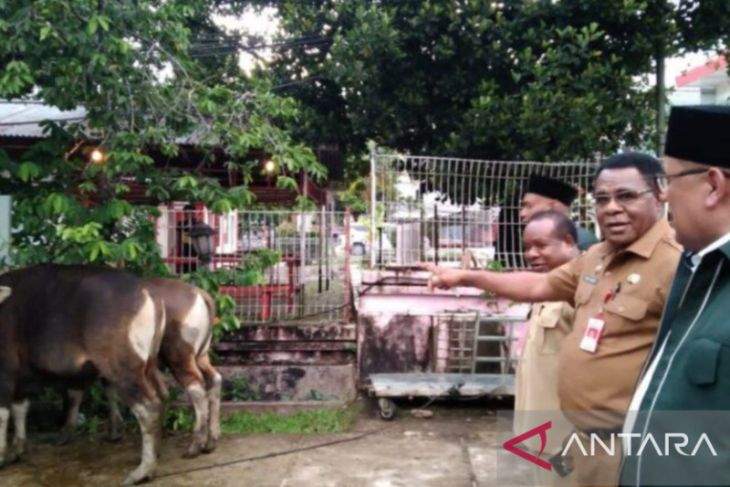 Pemprov PBD sumbang 75 sapi ke masjid di Sorong Raya