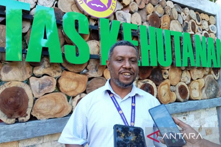 Sekretaris Program Studi Budidaya Hutan Fakultas Kehutanan Universitas Papua Descarlo Worabai di Manokwari, Papua Barat, Senin (24/7/2023). (ANTARA/Fransiskus Salu Weking)