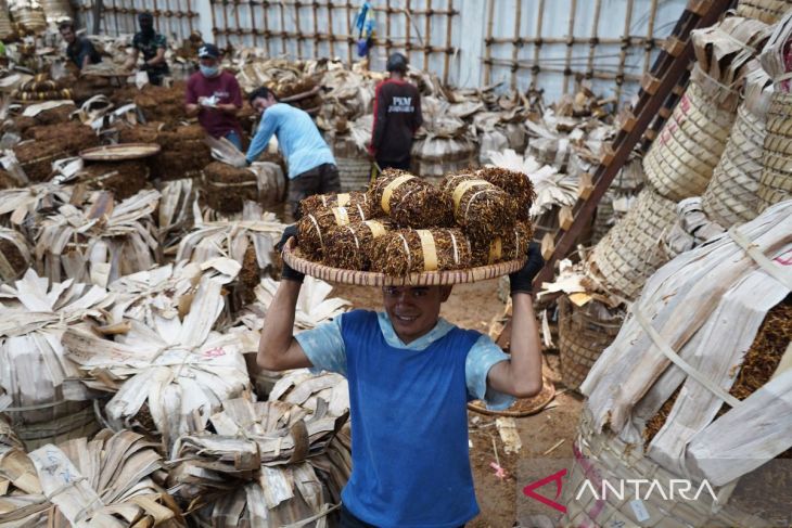 Pembelian tembakau oleh pabrik rokok