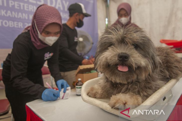 Vaksinasi rabies gratis di Boyolali