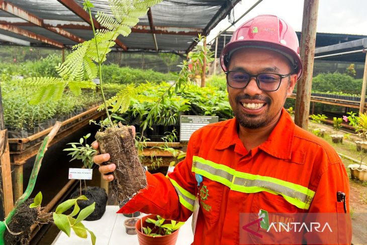 Nursery WBN produksi 200 ribu bibit tanaman endemik untuk reklamasi ...