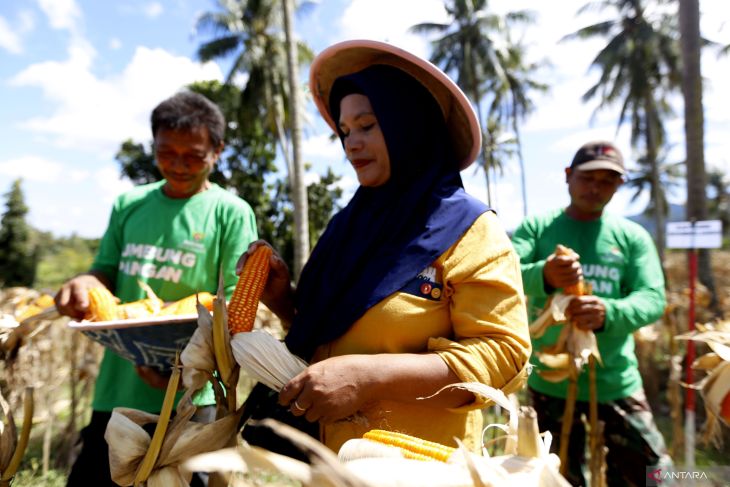 Baznas