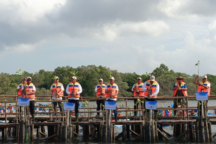 Bali perluas hutan mangrove lewat gerakan penanaman rutin
