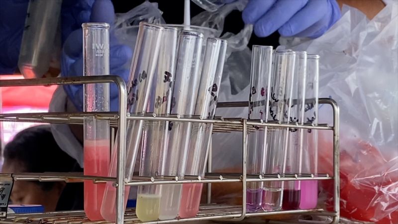 BPOM sidak takjil di Kupang, nyatakan aman konsumsi