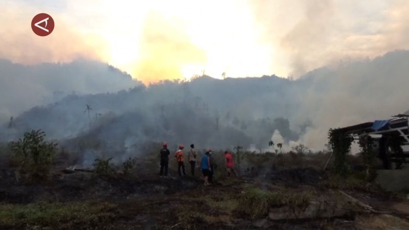 Karhutla meluas ke tujuh kecamatan, BPBD Sulteng tetapkan status siaga