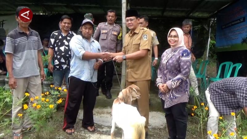 Pemkab Sleman serahkan kambing betina untuk bantu modal UMKM rintisan