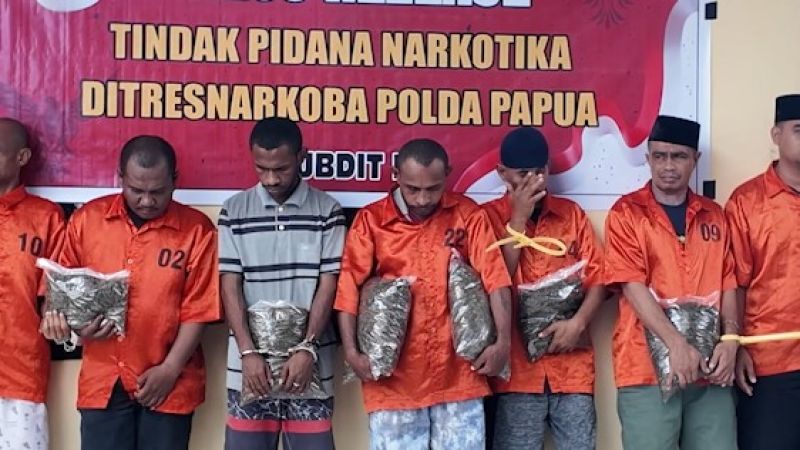 Polda Papua bongkar 36 kasus narkotika, sita 9,3 kg ganja
