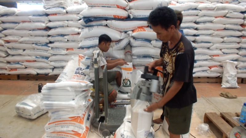 Bulog Bangka perkuat stok beras hadapi potensi dampak kemarau