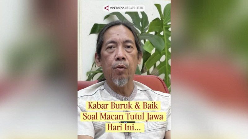 Kabar buruk & baik soal macan tutul jawa hari ini