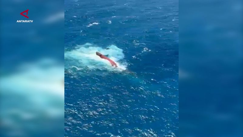 Evakuasi korban kecelakaan kapal KM Virgo terkendala cuaca esktrim